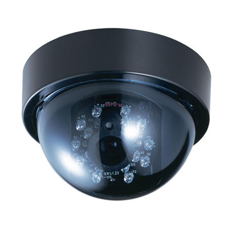 Color IR Dome Camera