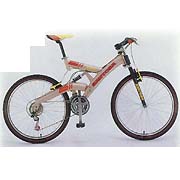 SC-9906 26`` 21-speed full suspension MTB (SC-9906 26``21 vitesses VTT tout suspendu)