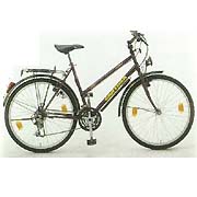 SC-9919 26`` 18-speed trekking bike (SC-9919 26``18-Speed Bike Trekking)