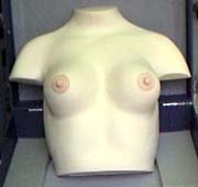 Breast Massage Simulator (Breast Massage Simulator)
