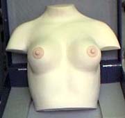 Breast Massage Simulator (Brust-Massage Simulator)