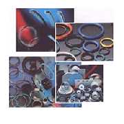 BUSAK+SHAMBAN SEALS (BUSAK+SHAMBAN SEALS)