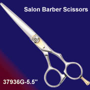 Professional Haircutting Scissors (Professional Haircutting Ciseaux)