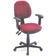 CHAIR (PRÉSIDENCE)