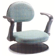 CHAIR (PRÉSIDENCE)