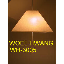 pendant ligth (pendant ligth)