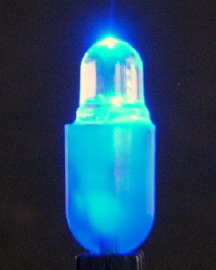 LED bulb for garden lighting (LED-Lampe für Garten-Beleuchtung)