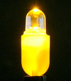 LED bulb for garden lighting (Ampoule LED pour l`éclairage de jardin)