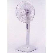 ELECTRIC FAN