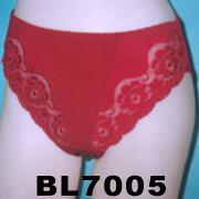 LADY`S LACE BRIEF