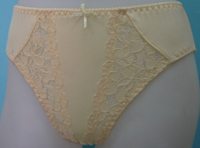 LADY BRIEF
