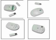 Wireless Travel Mouse (Wireless Travel Mouse)