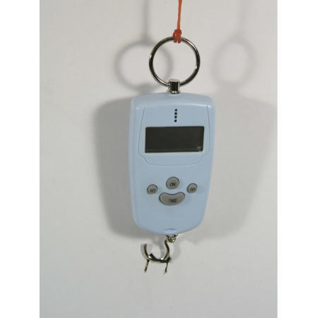 Fishing scales @