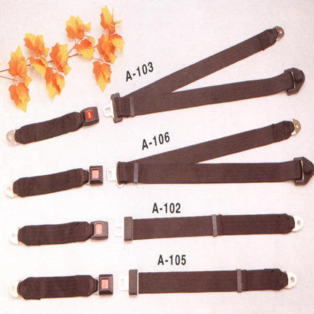 AUTOMOBILE SAFETY BELT (AUTOMOBILE SAFETY BELT)