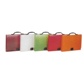 DOCUMENT CASE