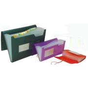 Expanding File
