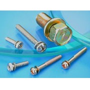 SCREW WITH SPRING WASHER