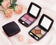 Eyeshadow Kit / Blusher Kit (Eyeshadow Kit / Blusher Kit)