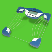 Body Fat Scale