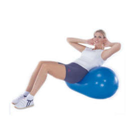 Gym Roller