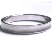 Silver Ring (Silver Ring)