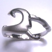 Silver Ring (Silver Ring)