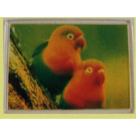 ANTIMATED LENTICULAR CARD (ANTIMATED Lenticular CARD)