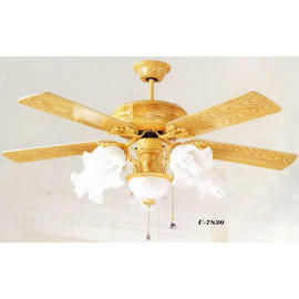 Lighting: Ceiling Fan Light