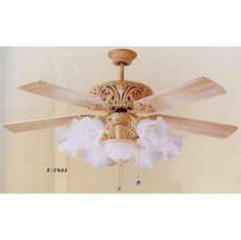 Lighting: Ceiling Fan Light (Освещение: потолочные вентиляторы Света)