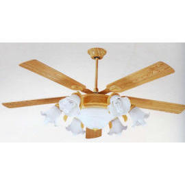 Lighting: Ceiling Fan Light