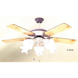 Lighting: Ceiling Fan Light