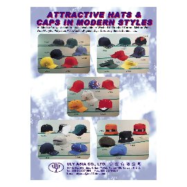 Baseball Caps (Baseball Caps)