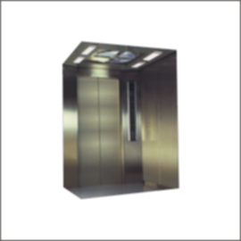 Passenger Elevator-Option Type (Пассажирский лифт-Option Type)