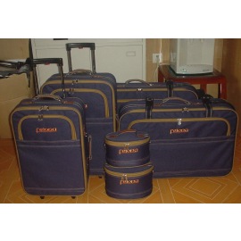 baggage,luggage,valise (baggage,luggage,valise)