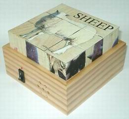 Wooden Sound Cube Puzzle series (Wooden Sound Cube Puzzle series)