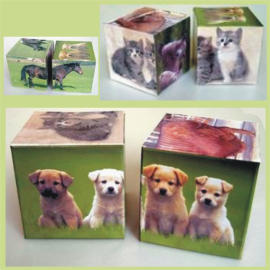 Sound Animal Twin Cube Puzzle series (Animal Twin Sound Cube Puzzle-Serie)