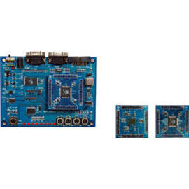 DMA-ARM AT91X Single Board (DMA-ARM AT91X Single Board)