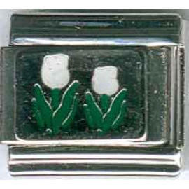 charms