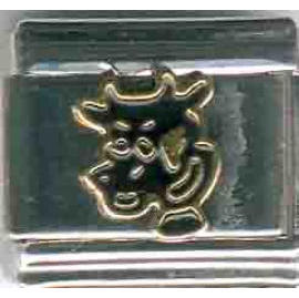 charms