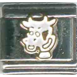 charms