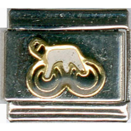 charms