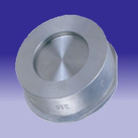 Wafer Check Valve, Stainless Steel Valve, Other Valve (Wafer Check Valve, Stainless Steel Valve, Valve Autres)