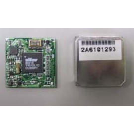 GPS Module (Module GPS)