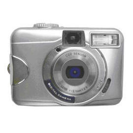 Digital Still Camera (Digital Still Camera)