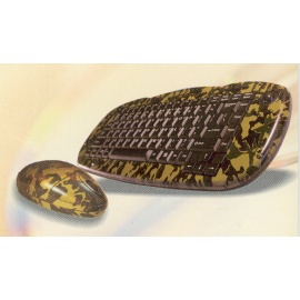 RF Keyboard/Mouse (RF Keyboard/Mouse)