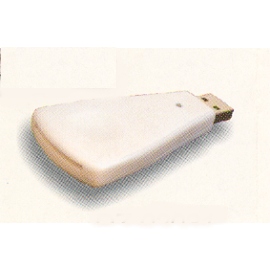 Flash Disk (Flash Disk)