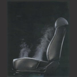 * Vehicle Seats (* Véhicule Sièges)