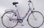Trekking Bike (Randonnée à vélo)
