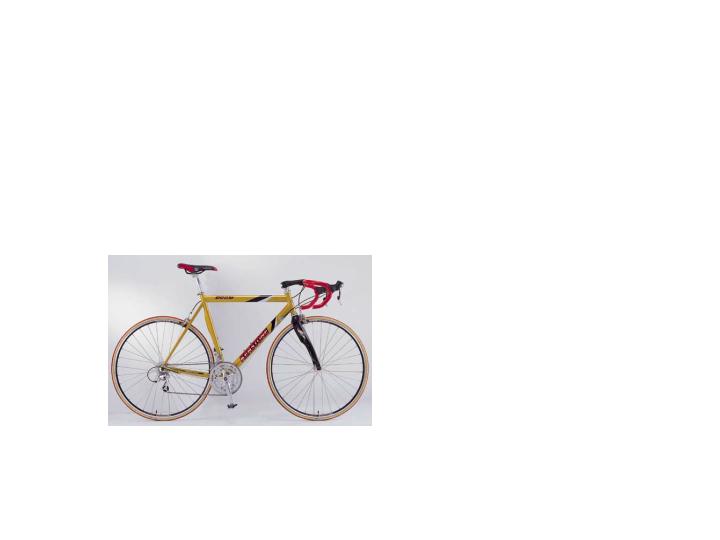 Racing Bike (Bike Racing)