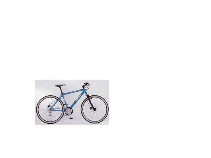 City Bike (City Bike)